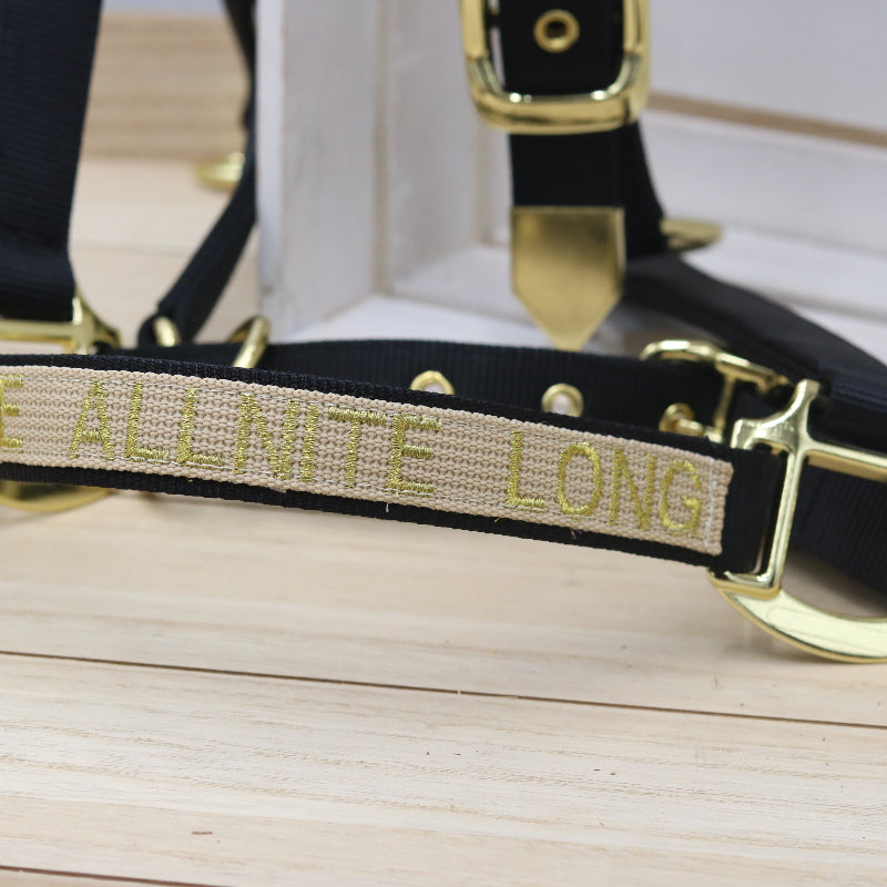 Halfter in Schwarz mit goldener Schrift