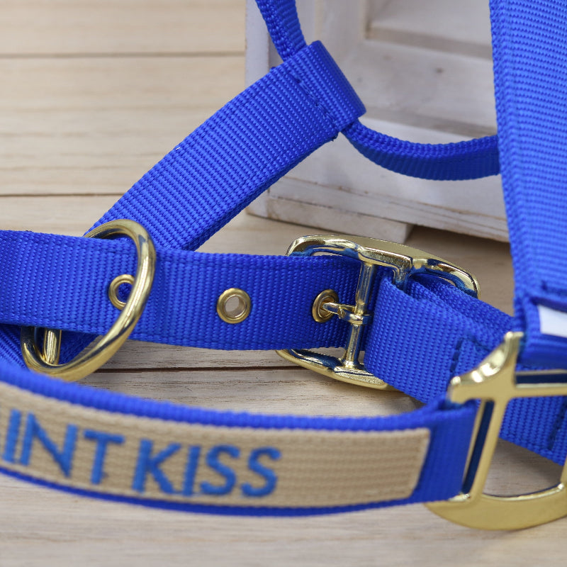 Halfter in Royal Blue, bestickt