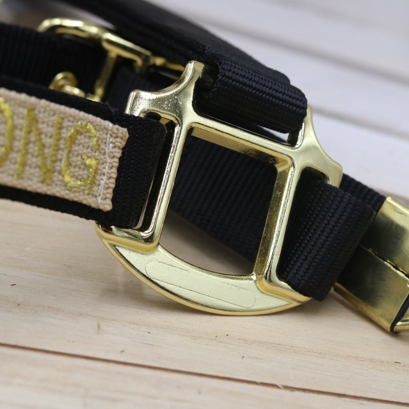 Halfter in Schwarz mit goldener Schrift