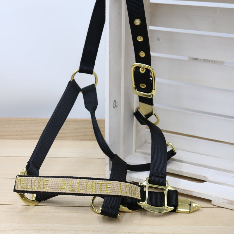 Halfter in Schwarz mit goldener Schrift