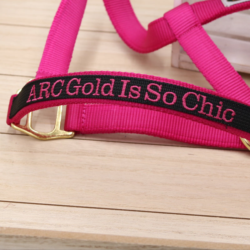 Halfter in Pink - Schwarz