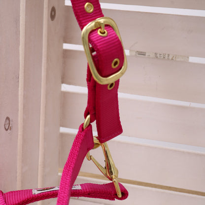 Halfter in Pink - Schwarz