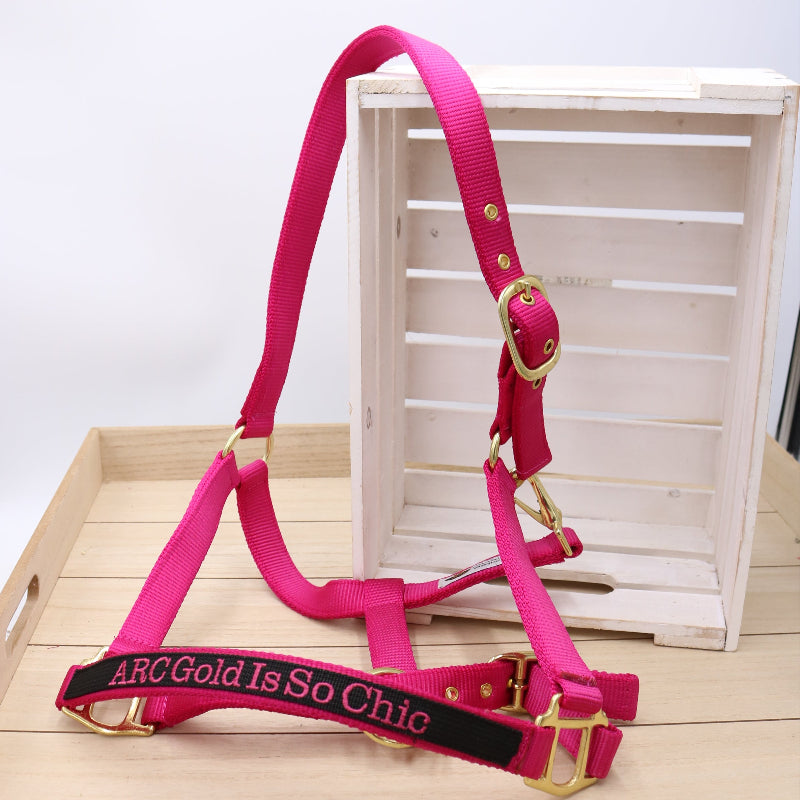 Halfter in Pink - Schwarz