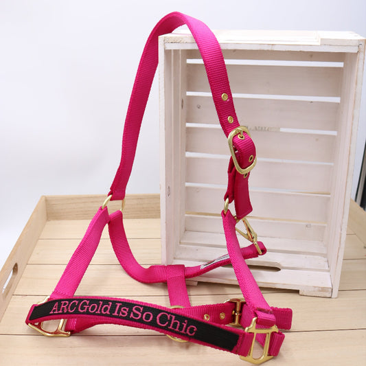 Halfter in Pink - Schwarz