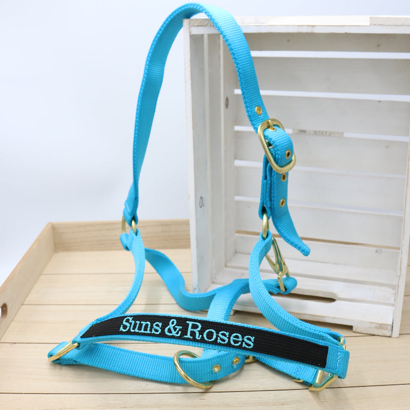 Halfter in Hellblau - Schwarz