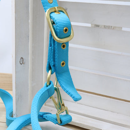 Halfter in Hellblau - Schwarz