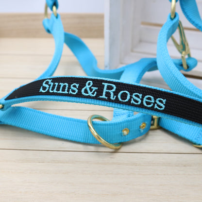 Halfter in Hellblau - Schwarz