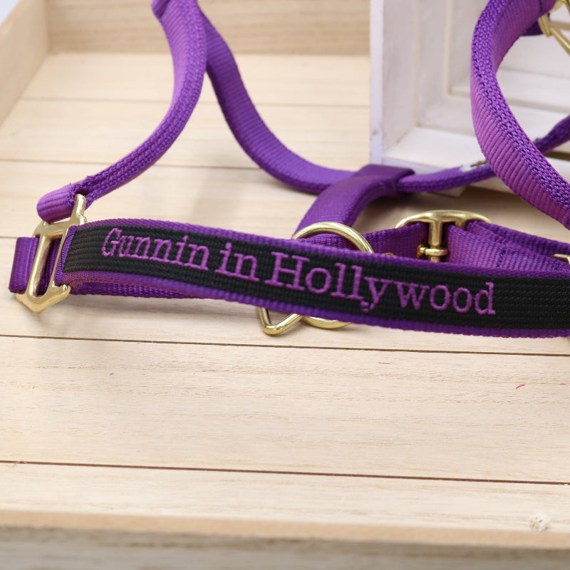 Halfter in Lila - Schwarz