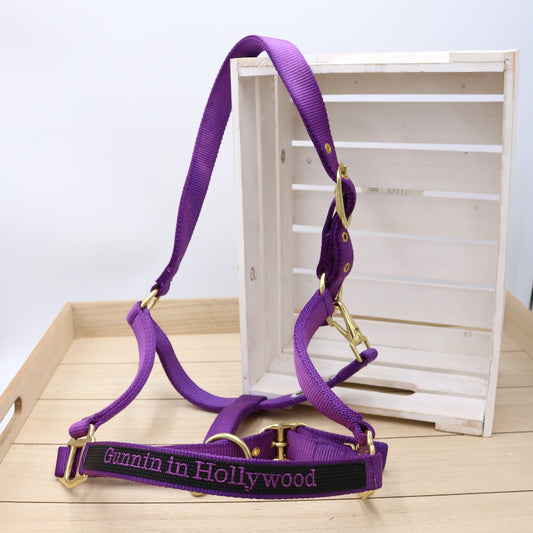 Halfter in Lila - Schwarz