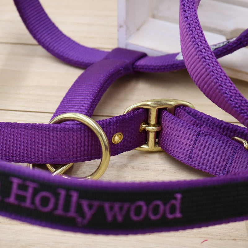 Halfter in Lila - Schwarz