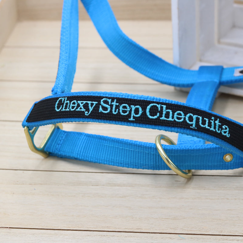 Halfter in Türkis - Schwarz