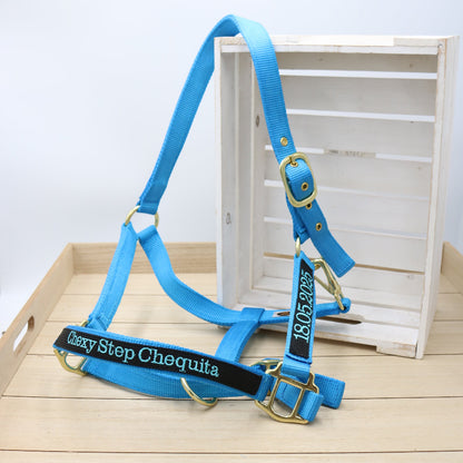 Halfter in Türkis - Schwarz