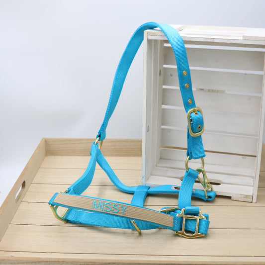 Halfter in Hellblau - Beige