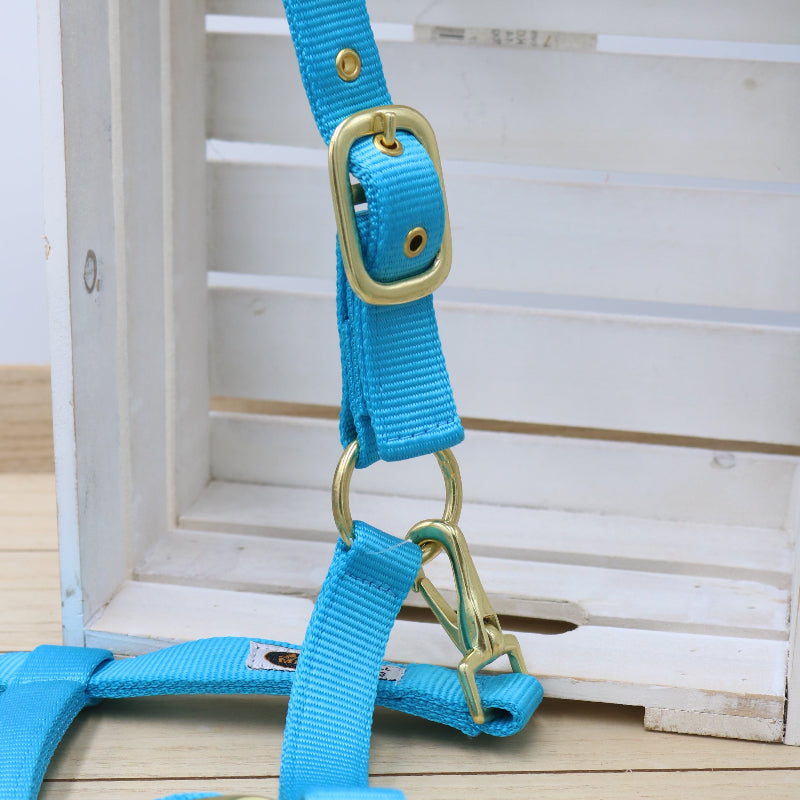 Halfter in Hellblau - Beige