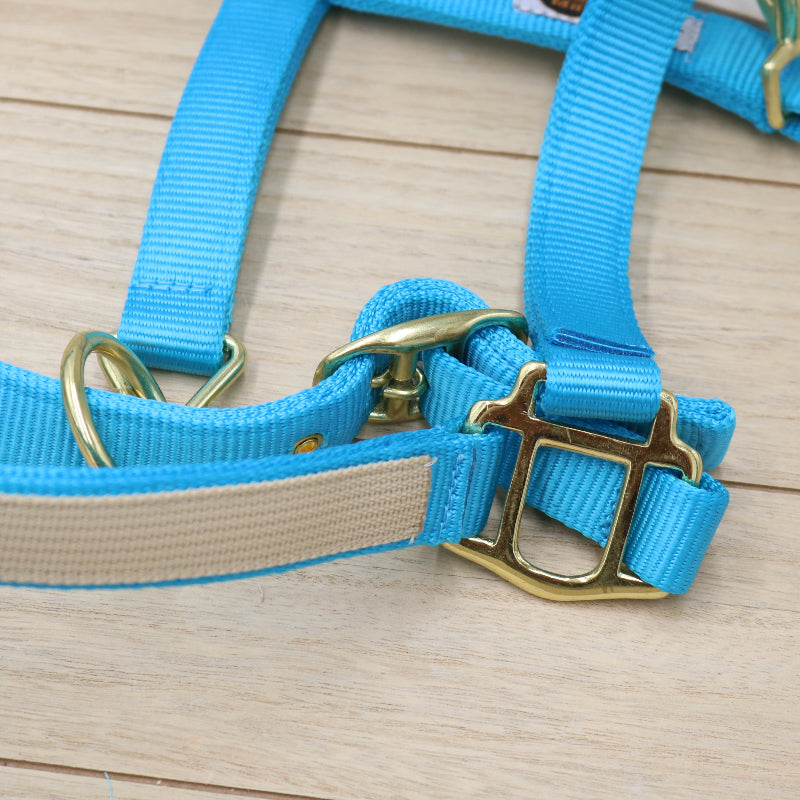 Halfter in Hellblau - Beige