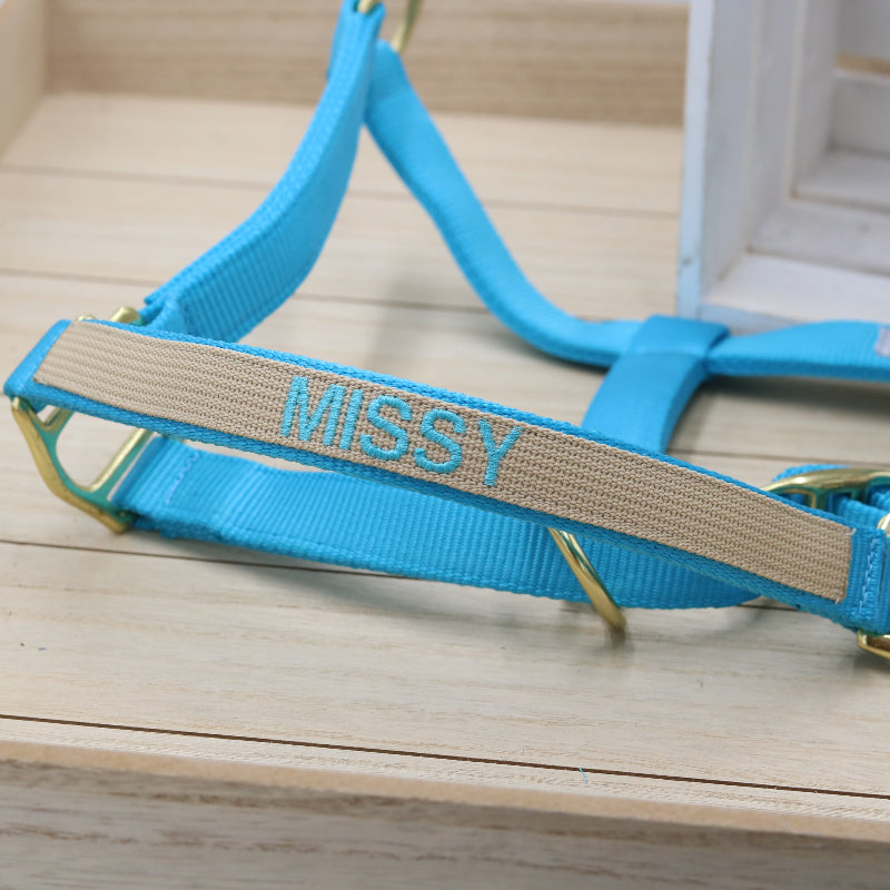 Halfter in Hellblau - Beige