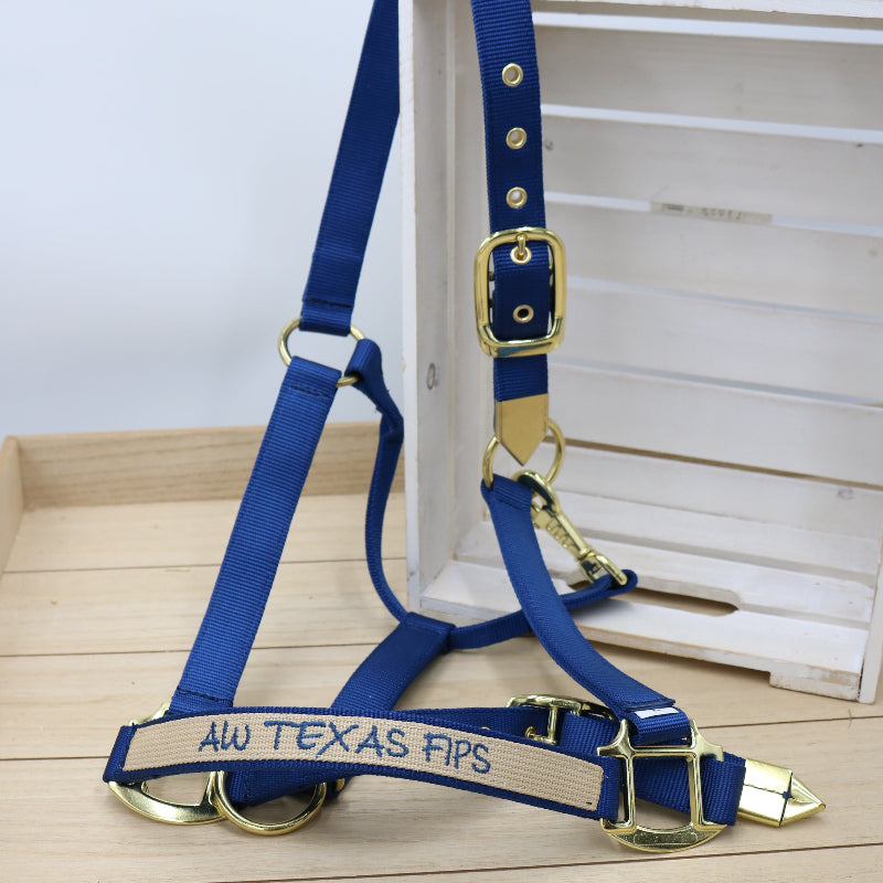 Halfter in Navy / Beige