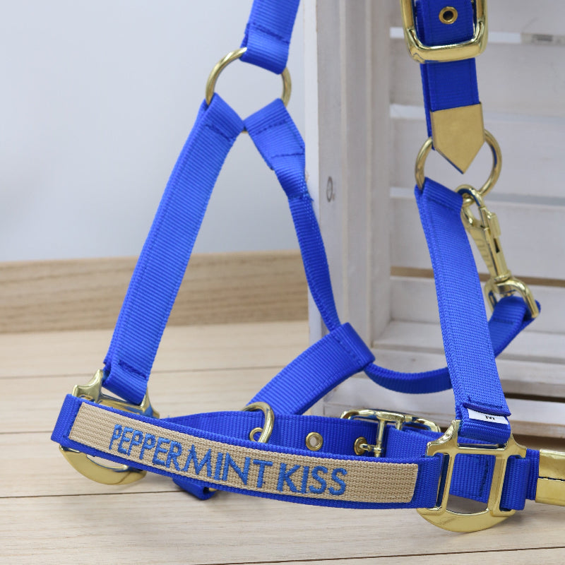 Halfter in Royal Blue, bestickt