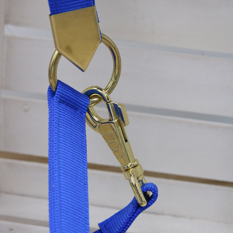 Halfter in Royal Blue, bestickt
