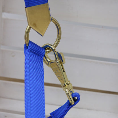 Halfter in Royal Blue, bestickt