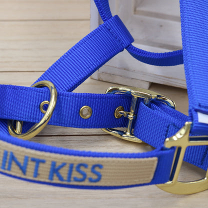 Halfter in Royal Blue, bestickt