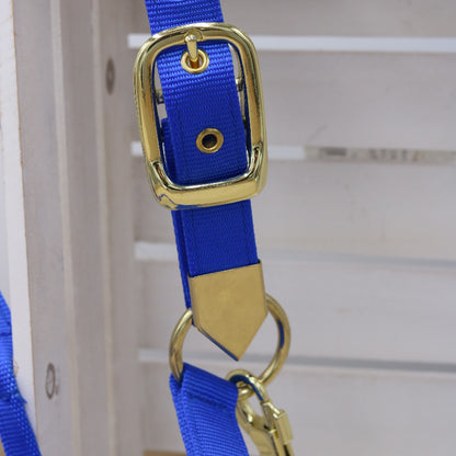 Halfter in Royal Blue, bestickt