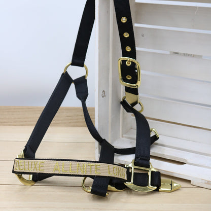 Halfter in Schwarz mit goldener Schrift